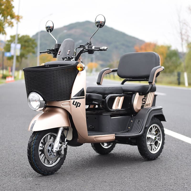 Export Senior Mobility Leisure Scooter Small Turtle King Tricycle 72V Adult Cargo Electric Tricycle