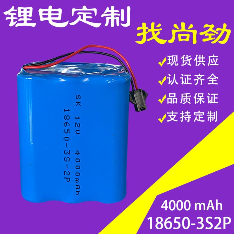 Wholesale Lithium Battery Pack 12V/24V/48V/36V Inflator Pump Battery, Electric Vehicle Light Solar Panel Battery