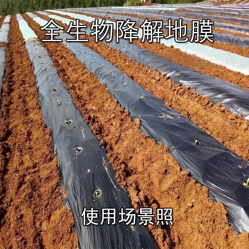 Direct supply from manufacturer, fully biodegradable agricultural mulch film for moisture retention, warming, weed control, black color for vegetables and fruits, pollution-free and degradable.