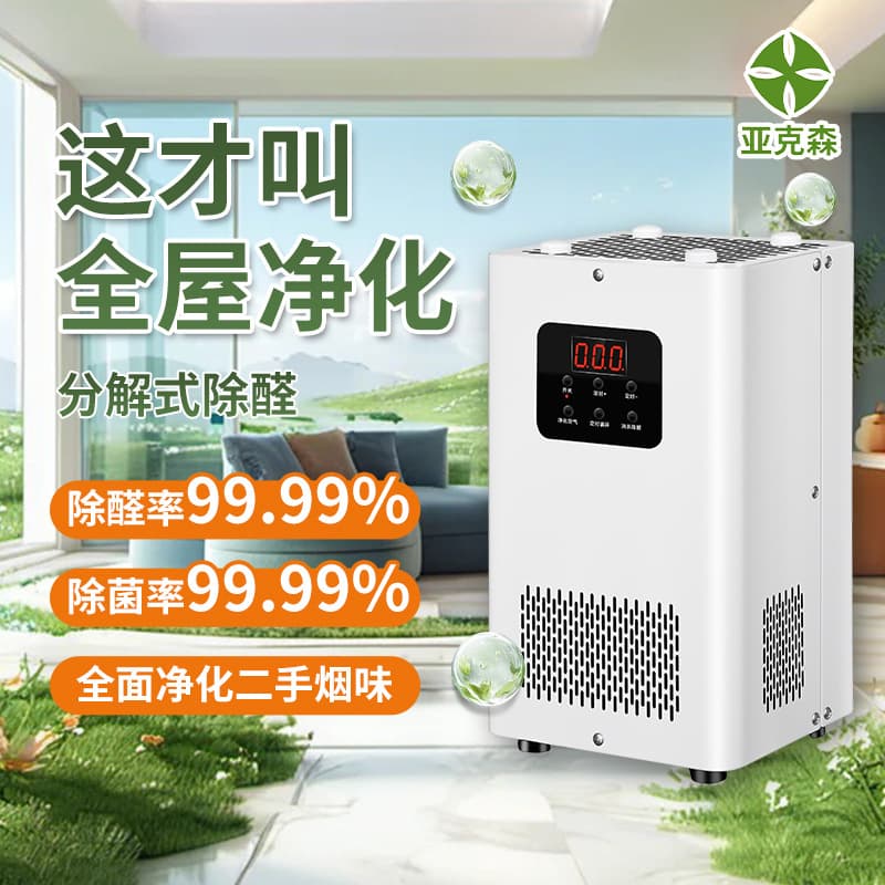 Wholesale Ozone Machine for New Home Decoration: Formaldehyde Removal, Odor Elimination, Sterilization, No Consumables Air Purifier
