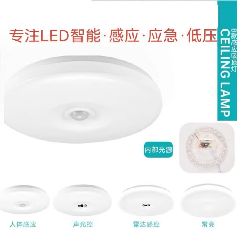 LED Smart Induction Ceiling Light, Human Body Radar, Always-On, Corridor, Staircase, Balcony, Modern Minimalist Round Ceiling Light