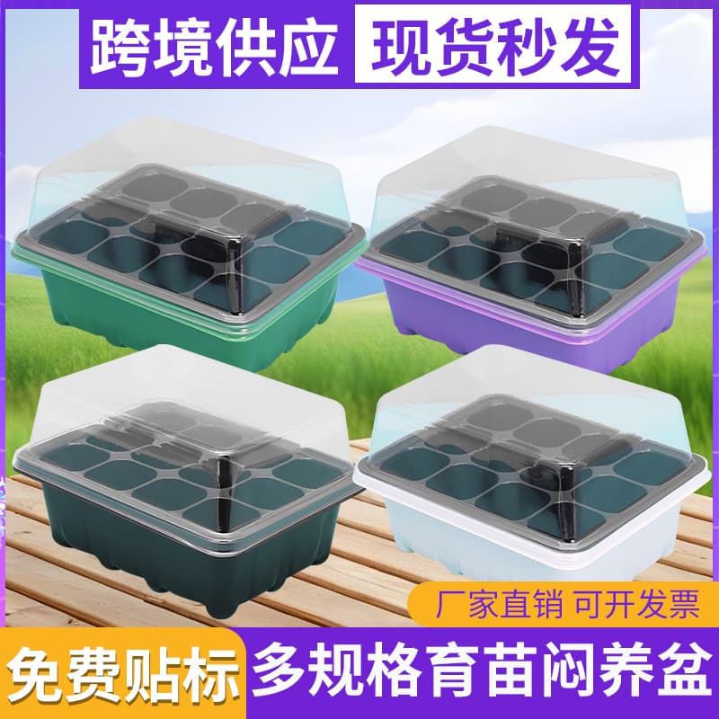 Amazon Cross-Border Hot-Selling 6-Hole 12-Hole Nest Tray Planting Box Three-Piece Set, Seedling Nursery Box with Lid