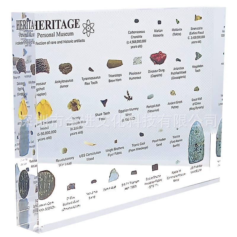 Modern Art Miniature Museum Specimen Display Piece Commemorative Celebration Teacher Appreciation Decoration Resin Material