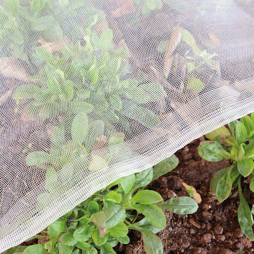 Vegetable and orchard insect net insect net new material
