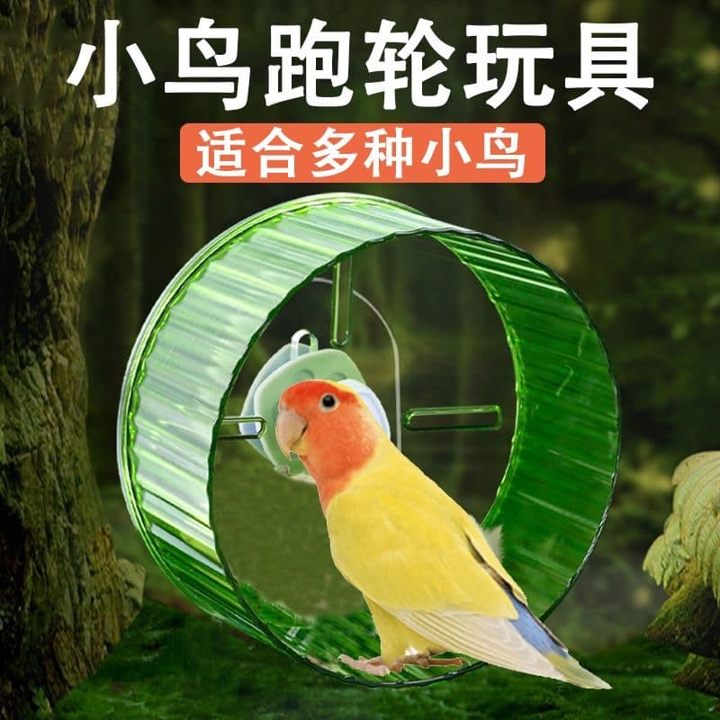 Parrot Running Wheel Toy to Relieve Boredom - Hi Xuanfeng Peony Bird Runner Treadmill Puzzle Decompression Sports Special Supplies