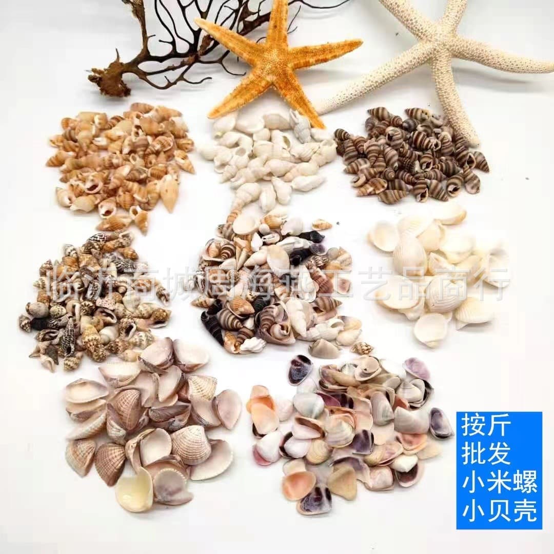 Small sea snails and shells, about one centimeter in size, are sold wholesale by weight. Crafts featuring millet snails.
