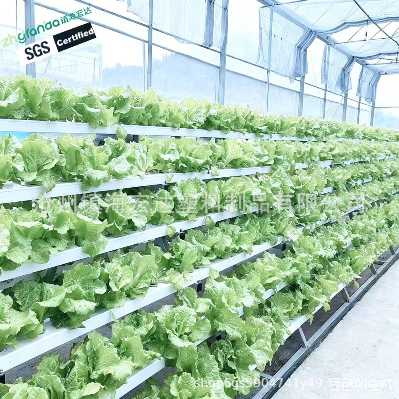 Manufacturer Plant Factory Facility Hydroponic Growing Rack, Hydroponic Pipes and Complete NFT Hydroponic System Equipment