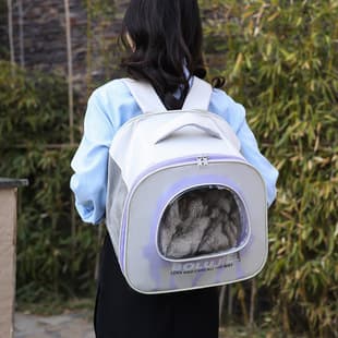 Transparent Pet Carrier, Portable for Cats, Double-Sided Large Mesh Windows, Dog Carrier, Extra Large Backpack