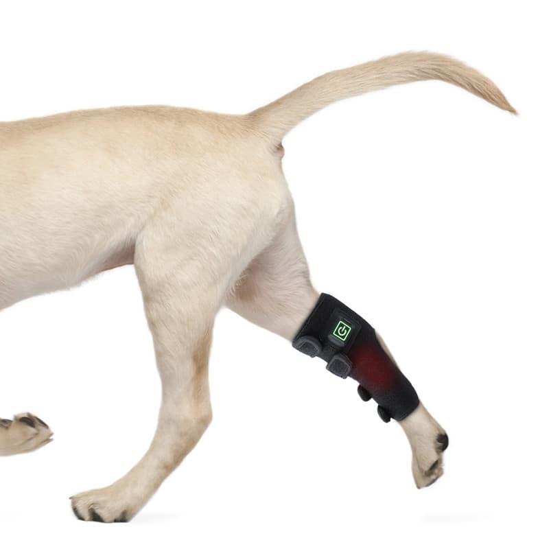 AMAZON Home New Pet Therapy Device for Injury Recovery, Cat and Dog Wound Healing, Fracture Recovery, Portable with Timer