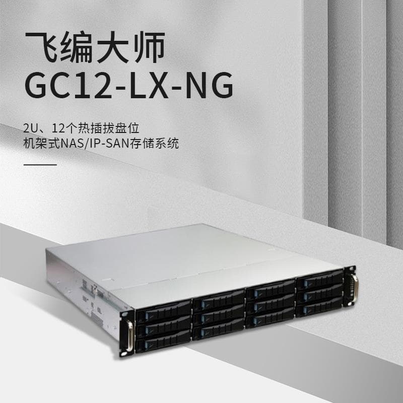 Feibian Master GC12-LX-NG Domestic 10GbE Disk Array Enterprise Network Storage High-Performance Controllable