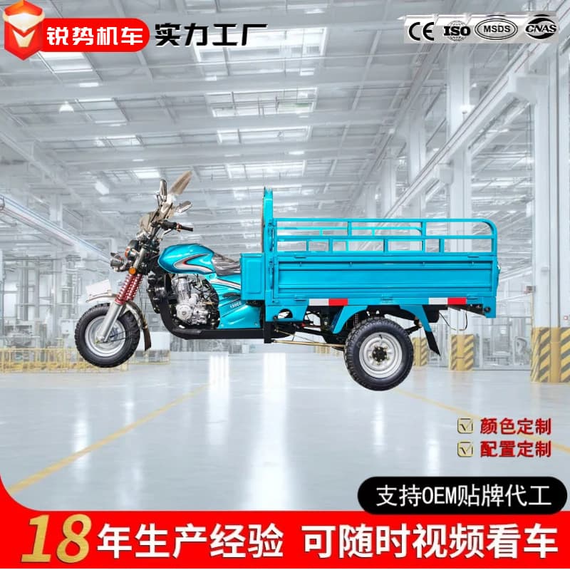 Africa Hot Selling Three-Wheeled Fuel Motorcycle Cargo Agricultural Dump Truck Gasoline Heavy-Duty Cross-Border Sidecar Tricycle