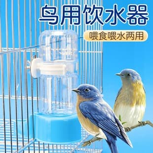 Myna Budgie Parakeet Cockatiel Waterer Drinking Waterer Bird Supplies Feeder LP