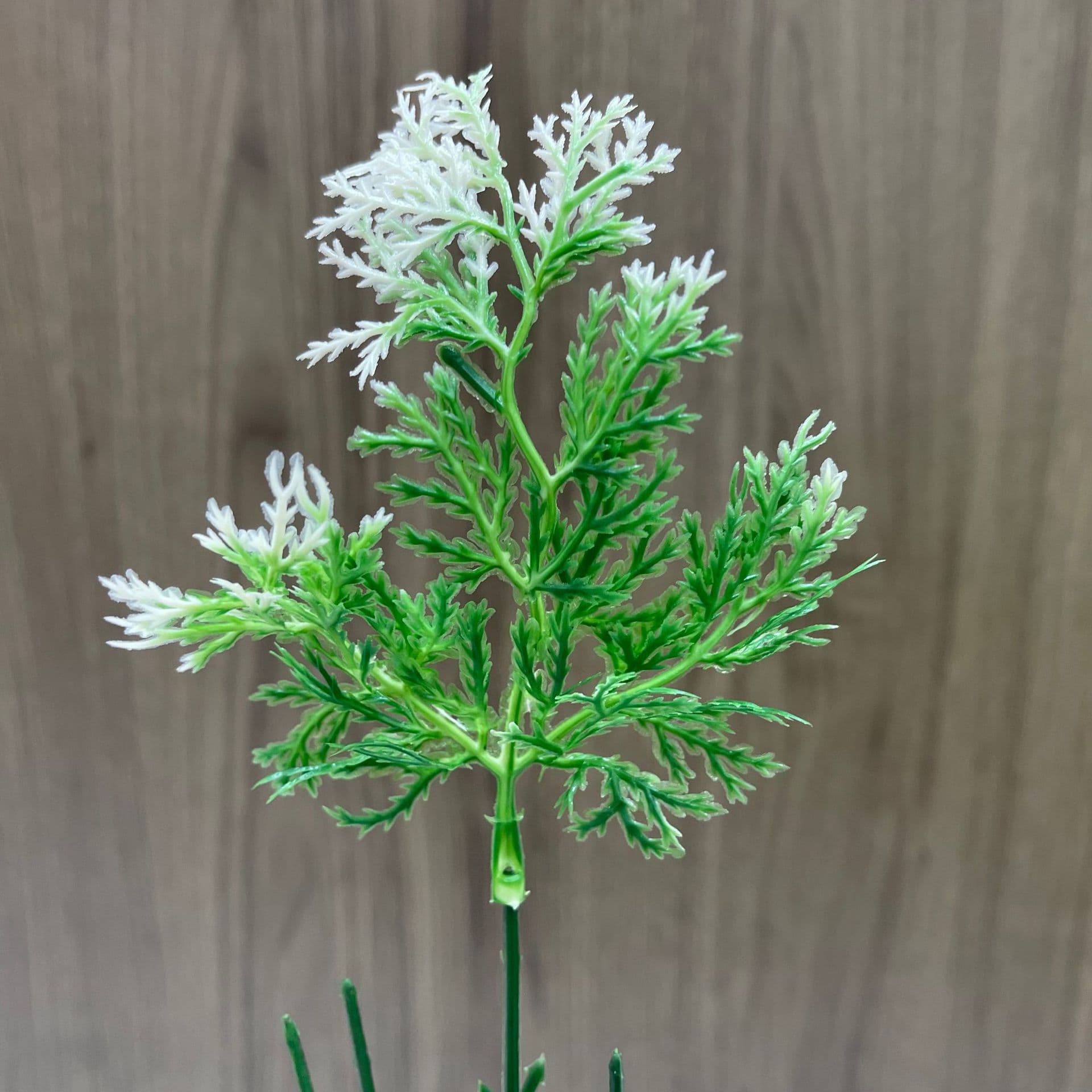 Artificial Cypress Leaf Single Fireproof Cypress Leaf Indoor Decorative Ornament Photography Fake Cypress Leaf