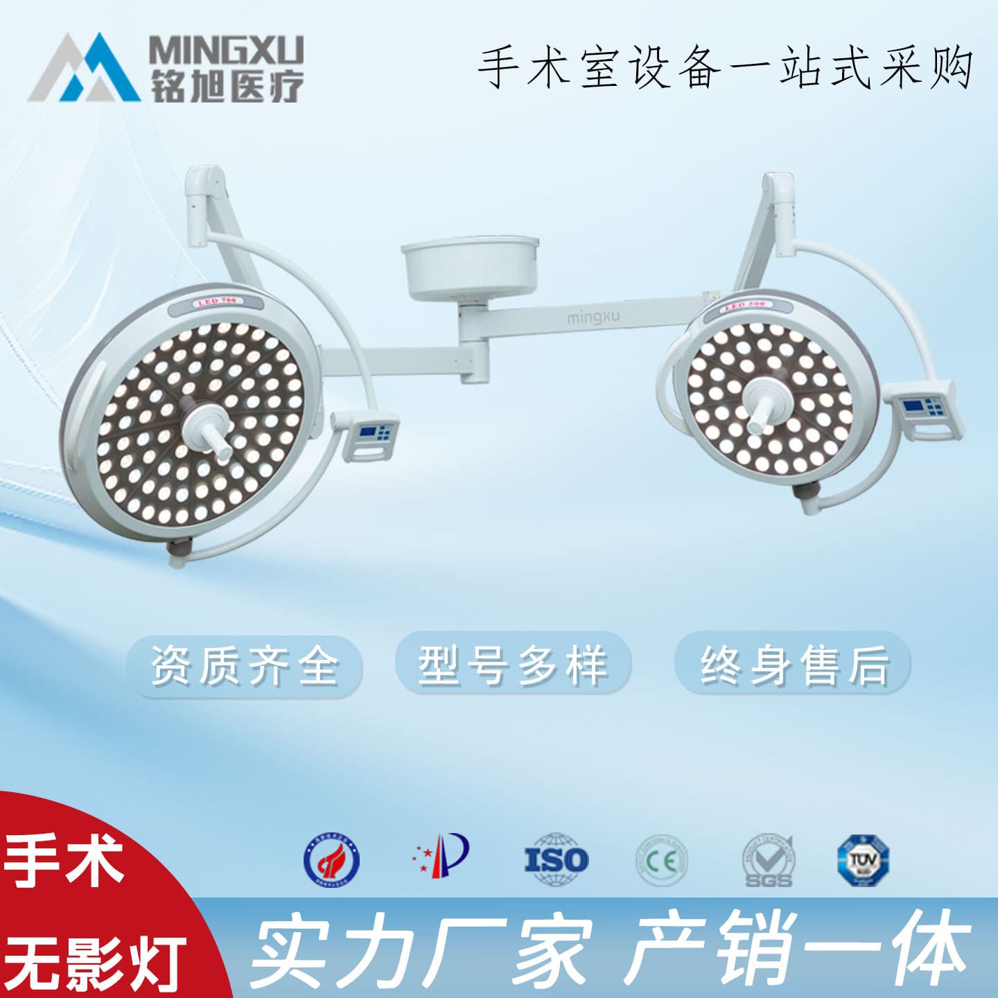 Shadowless Light LED Shadowless Mother-Child/Single-Head Examination Lamp Ceiling-Mounted Mobile Triple-A General Pet Oral
