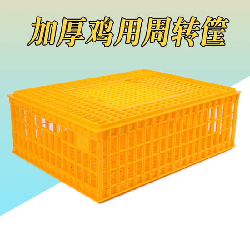 Plastic Chicken Cage New Yellow Thickened Wear-Resistant Adult Chicken Turnover Box Factory Sales Breeding Transport Cage Adult Duck Basket