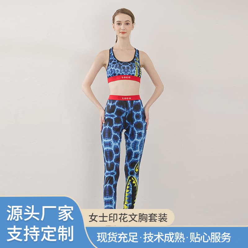 Women's Sports Bra Set - Stretchy Comfort Base Layer Shockproof Panties Printed Bra Set Yoga Activewear