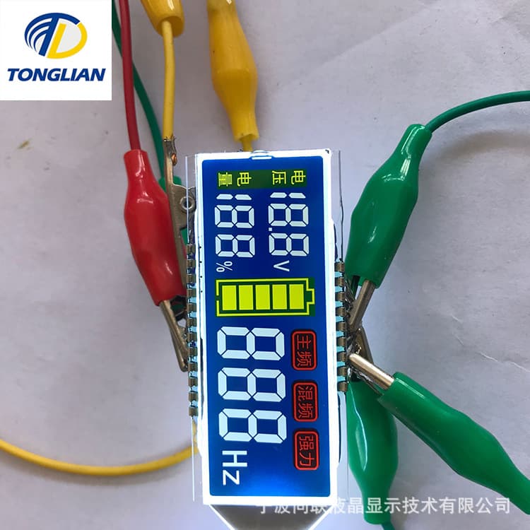 Custom Lithium Battery Segment LCD Digital Display Meter, Power Meter, Current Meter LCD Screen from Zhejiang Manufacturer