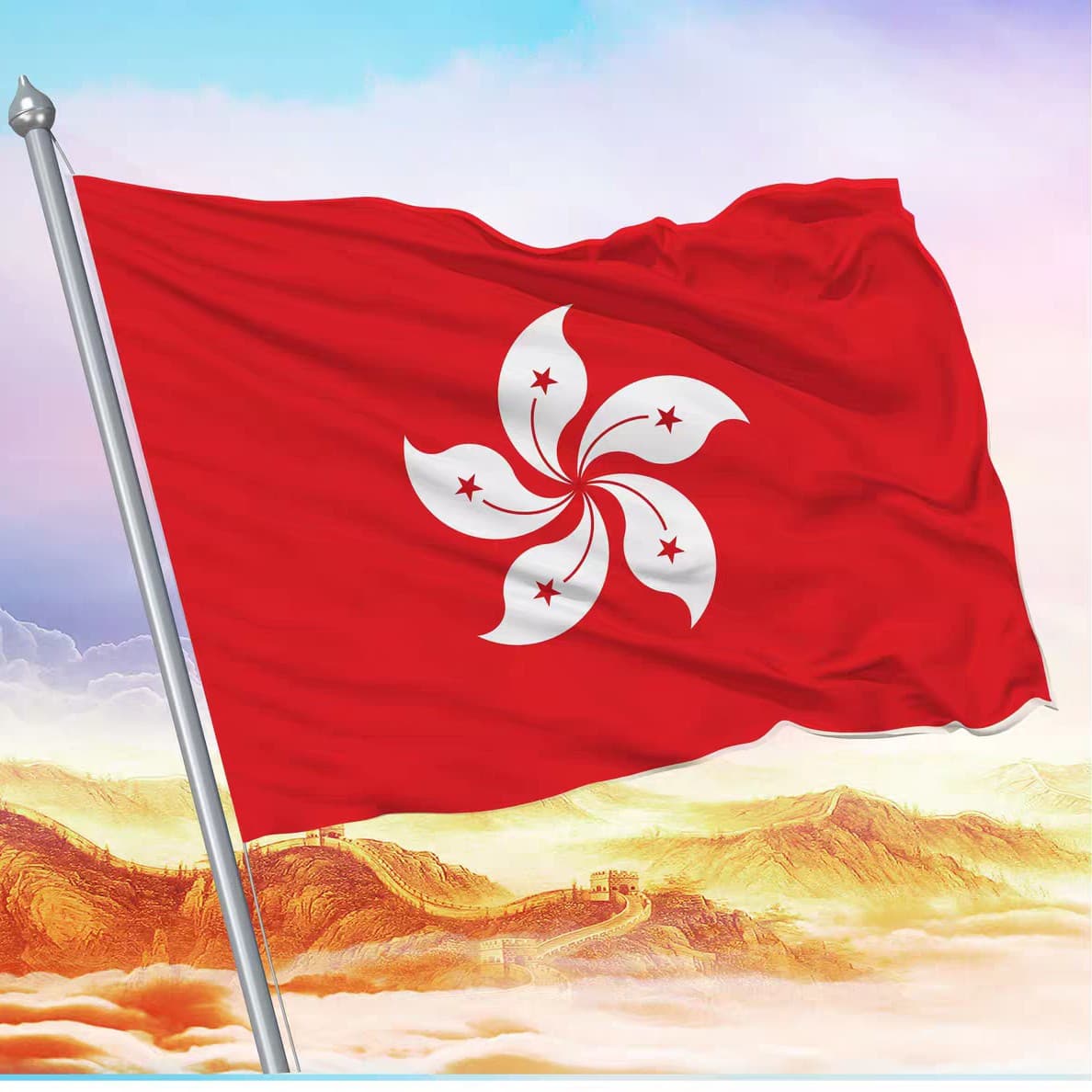 Wholesale China Hong Kong Regional Flag Bauhinia Flag School Flag Company Flag World Flags Outdoor Decorative Flags