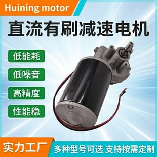Micro DC Reduction Motor, Special Motor, Electric Brushed Worm Gear DC Reduction Motor, Wholesale Custom