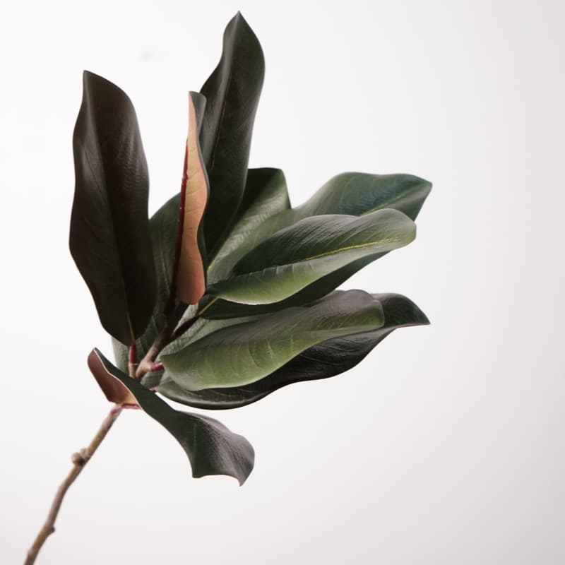 Hot-selling Cross-border 3D Magnolia Leaf Twig - Real Flower Quality, Factory Direct Wholesale, Home Soft Decor, Wedding Decoration