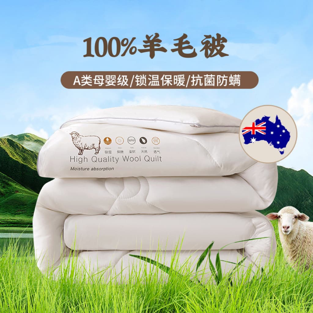 Pure Wool Duvet Class A Baby-Grade Student Dorm Thick Cotton Winter/Autumn Cashmere Quilt Gift Blanket Wholesale