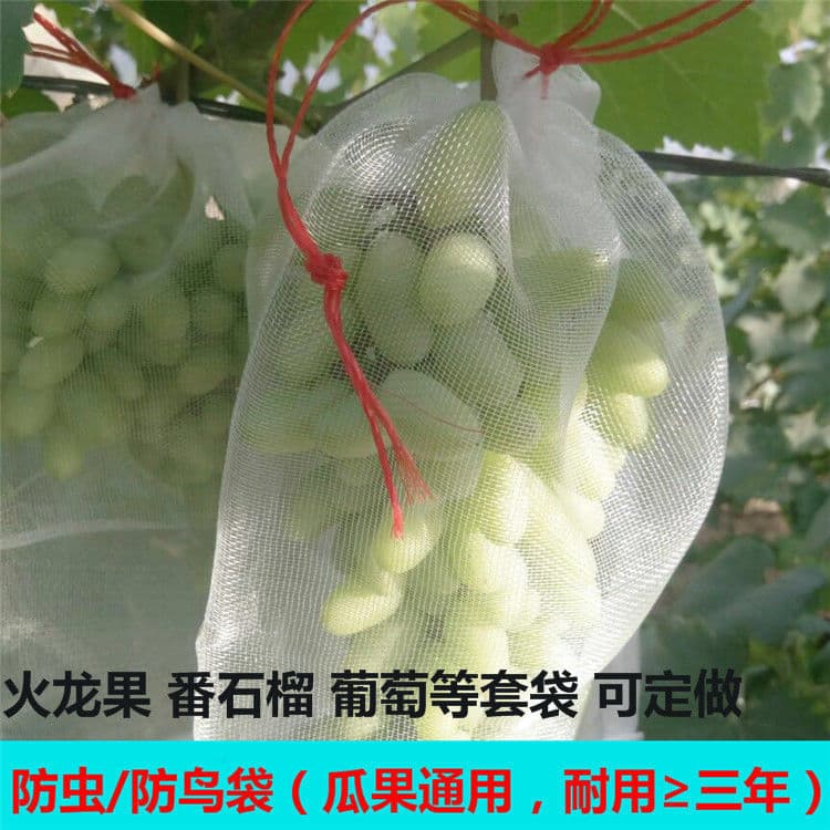 Insect-proof and bird-proof nylon mesh bags, seed bags, seed soaking bags, dragon fruit bags, grape fruit bags, fruit tree insect-proof E18