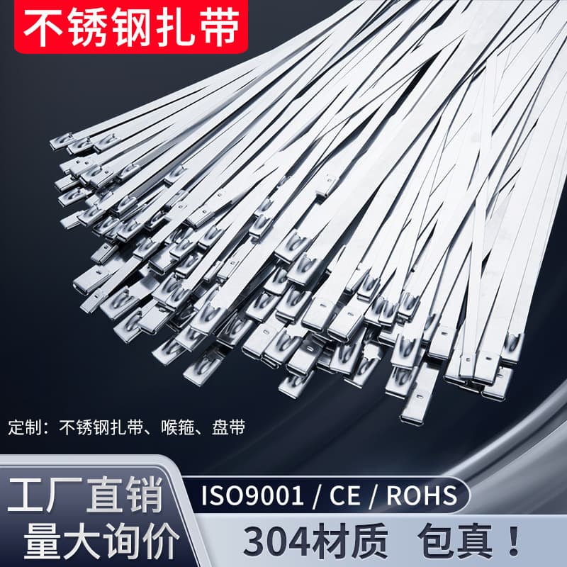 304 Stainless Steel Self-locking Metal Cable Ties, 100 pcs, Live Buckle Cable Tray, 4.6*200mm, 7.9mm, 20mm