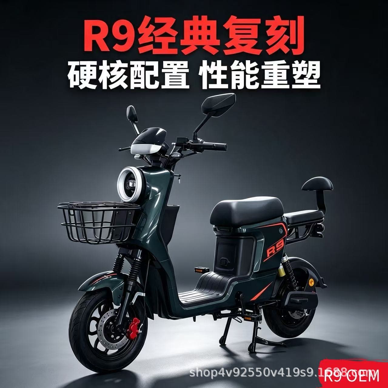 [R9 Electric Bike] Electric Assist Bike, Two-Wheel Electric Vehicle, Source Factory, Export Wholesale