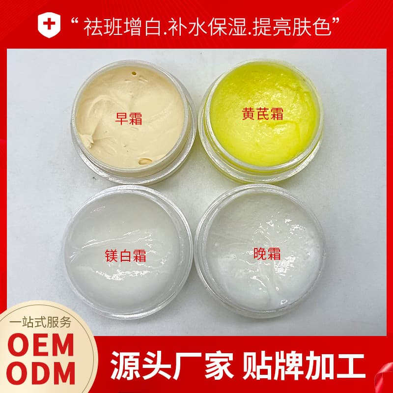 Natural Look Day Cream Brightening Lightweight Concealing Face Cream Day Cream Night Cream Water Glow Skin Primer Cream Beauty Salon Facial Essence Cream