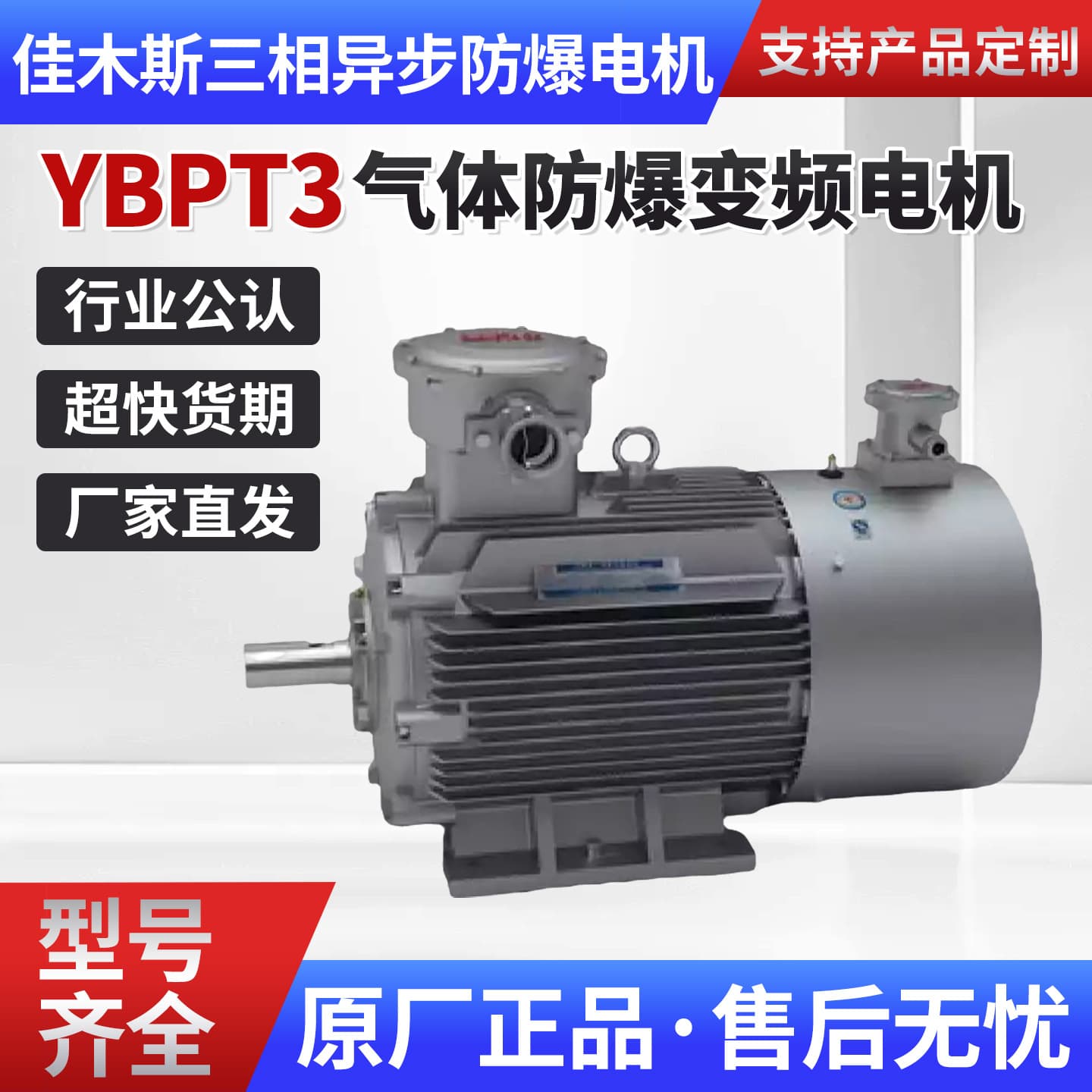 Jiamusi Three-Phase Asynchronous Explosion-Proof Motor YBPT3 General Purpose 80~355 Variable Frequency Motor BT4/CT4