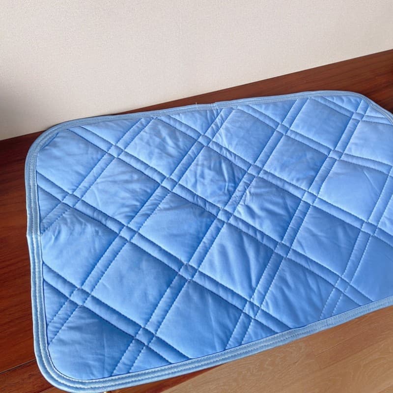 Export Japan Foreign Trade Orders Cool Feel Pillow Pads Summer Sweat-Absorbent Quick-Dry Anti-Slip Ice Silk Pillowcases/Covers Cooling Pads