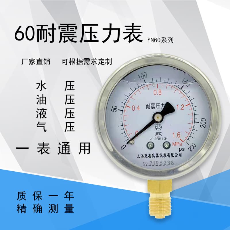 Supply YN-60 High Precision Pressure Gauge Stainless Steel Oil Hydraulic Water Pneumatic 2-Point Thread Vibration-Resistant Pressure Gauge
