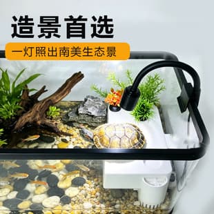 Cross-border Turtle Basking Light Full Spectrum Reptile Tortoise Lizard Sun Heating Lamp Reptile Heat UVB Calcium Supplement Light
