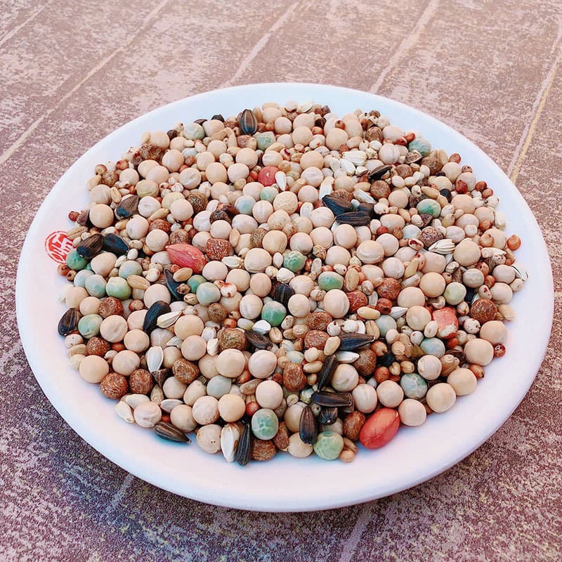 Wholesale Pigeon Food Corn-Free Young Pigeon Food Feed Bird Food Dove Ornamental Pigeon Meat Pigeon Food Racing Pigeon Food Starting from 25kg