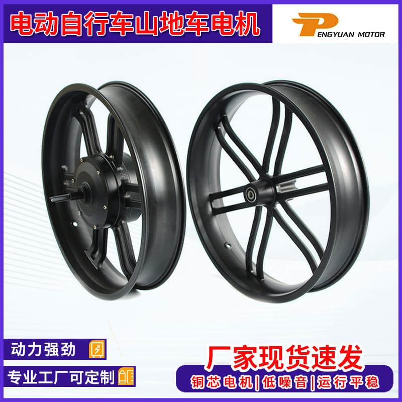 PY-02-01-20''-XDB Aluminum Alloy Integrated Wheel Motor Electric Mountain Bike Motor