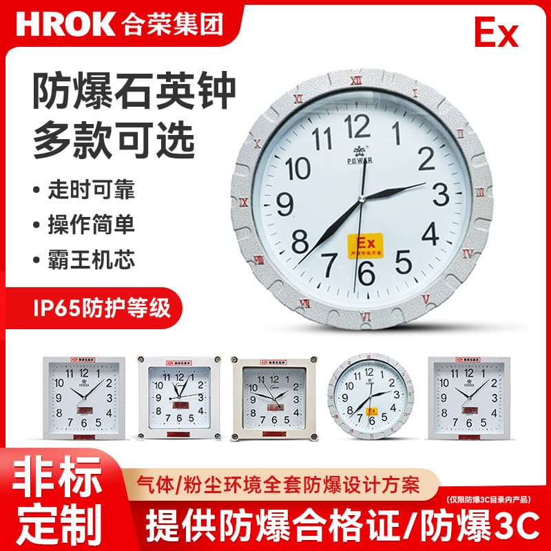 Ergong explosion-proof clock, explosion-proof digital display wall-mounted electronic pointer clock, round or square, waterproof and anti-corrosion