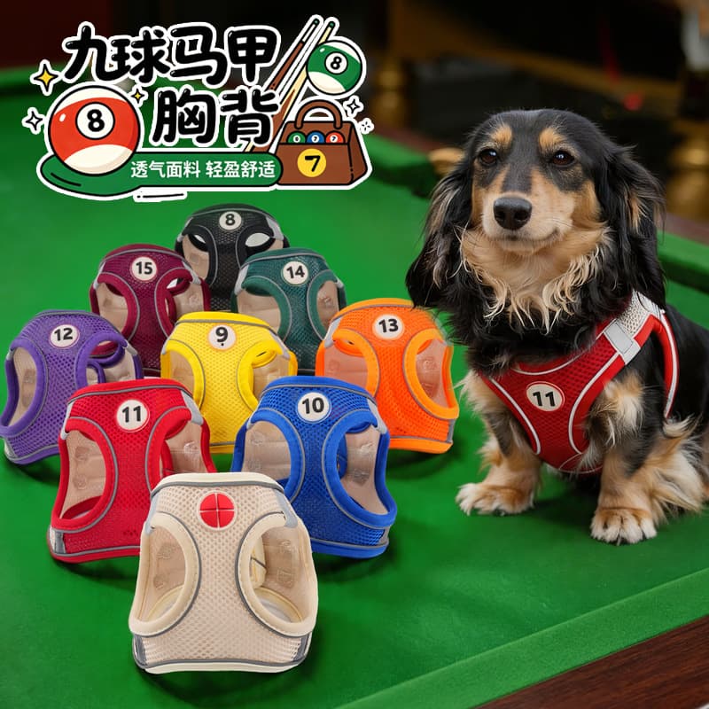 Dog Harness Leash Set for Small Dogs, Vest-Style Harness for Pomeranian, Puppy, Bichon, Teddy