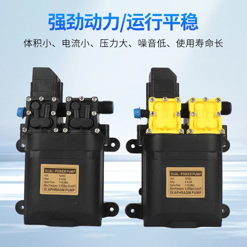Double thread car wash pump 20 high pressure intelligent electric sprayer accessories water pump car wash wholesale rechargeable