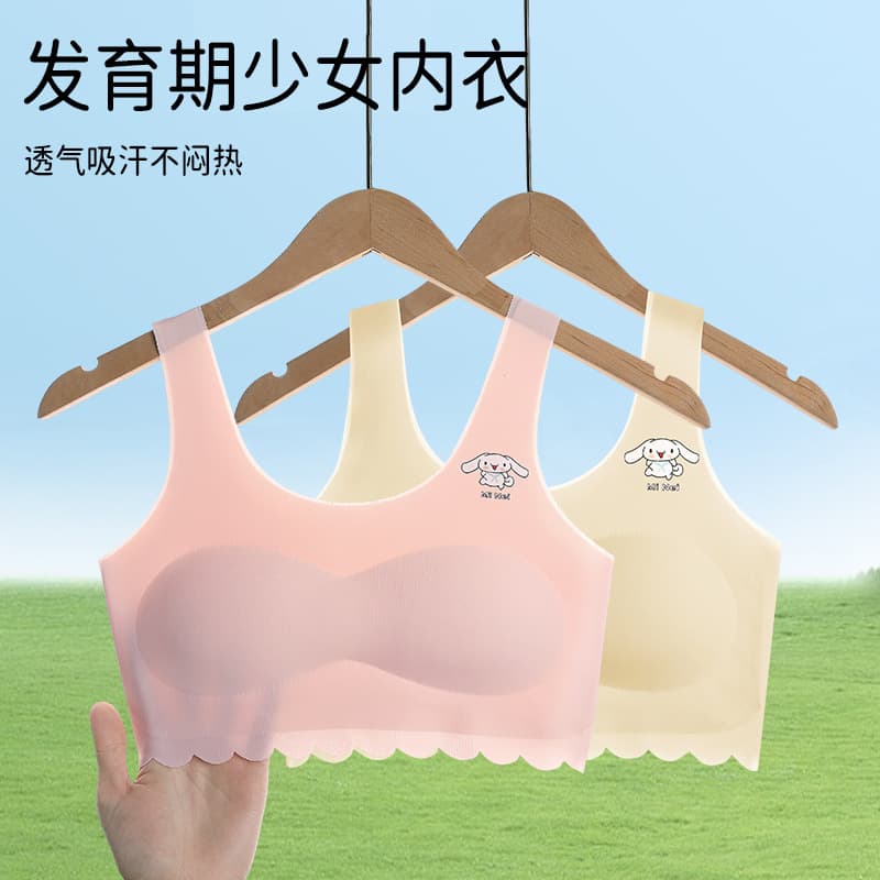 Summer Online Hit Seamless Teenage Underwear for Young Girls, Middle and Elementary School Students' Developing Vests