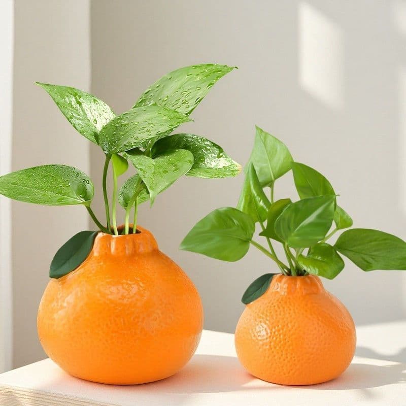 Creative Orange Hydroponic Pothos Planter Living Room Desktop Office Decoration Ornament Vase Hydroponic Plant Stand