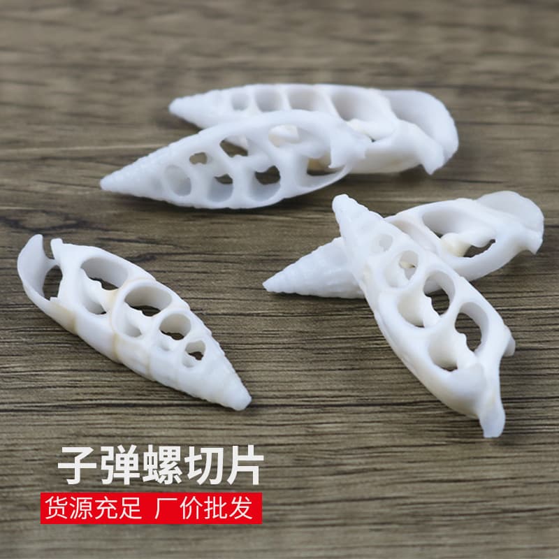 Natural Shell Conch Slice Bullet Shell Handmade Slice Clothing Accessory Necklace Jewelry DIY Raw Material Wholesale