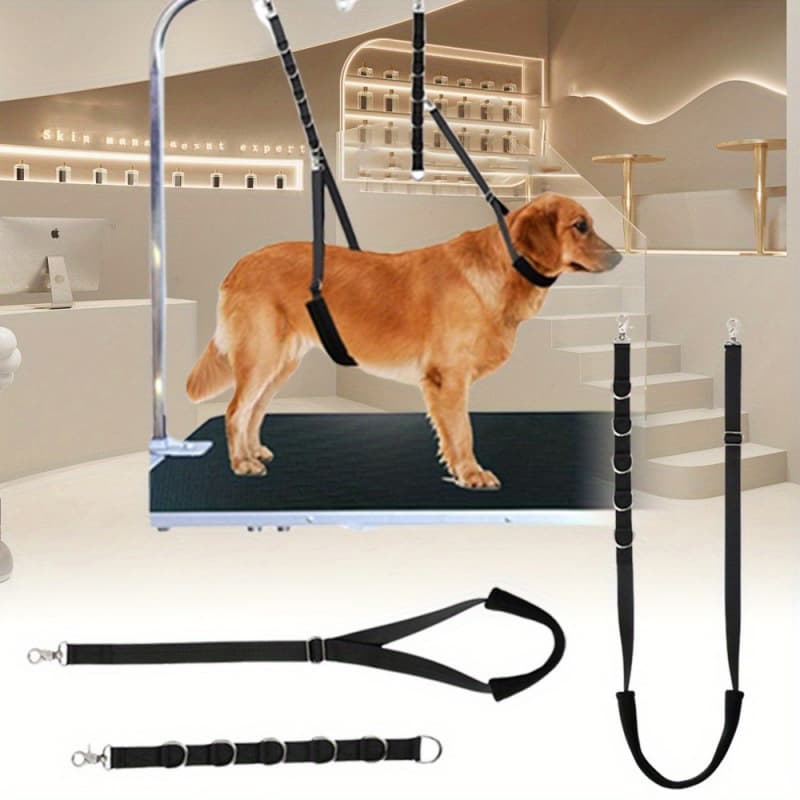 2026 New Cross-border Drop Shipping Pet Supplies Pet Extension Leash