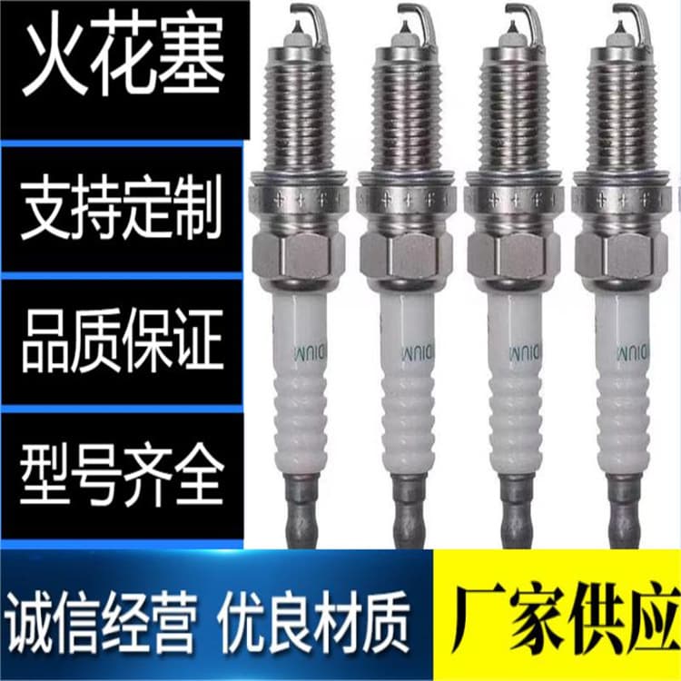 0241245673 Bosch Double Platinum Spark Plug FQ5NPP332S for Audi A5 A6 A6L