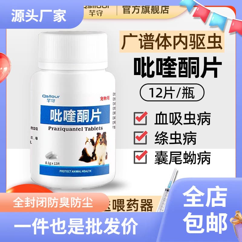 Qian Shou Praziquantel tablets for pets, essential deworming medication for cats and dogs against schistosomes, cysticerci, and tapeworms.