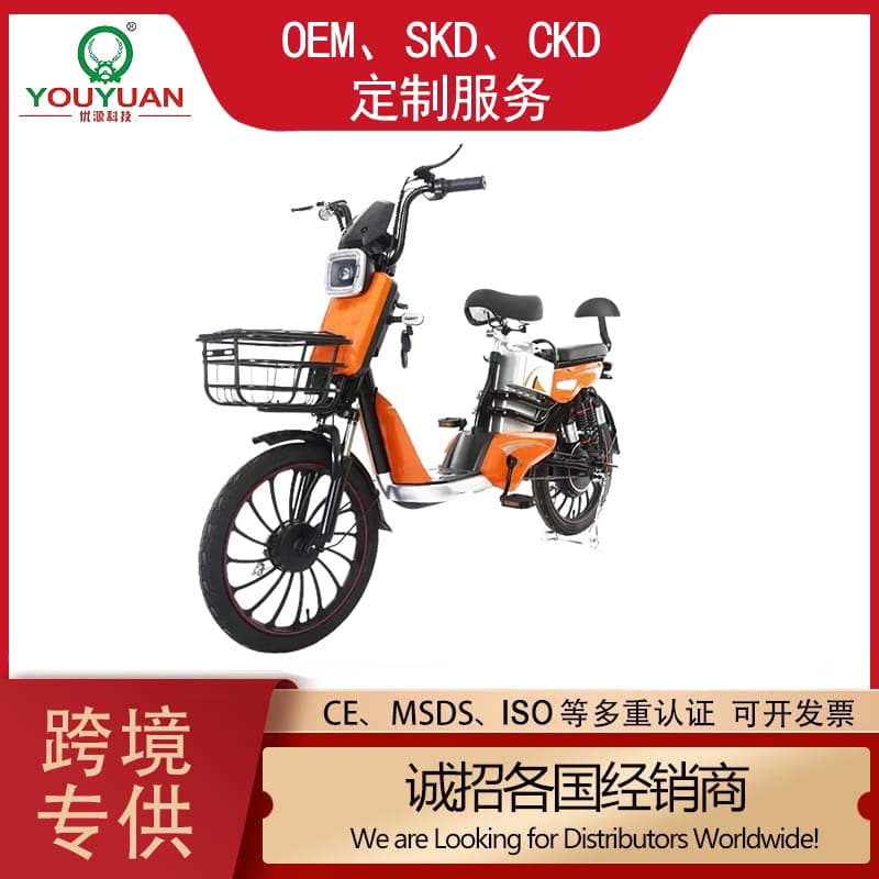 Adult Lingdong two-wheeled electric bicycles cross-border export wholesale urban travel electric bicycles