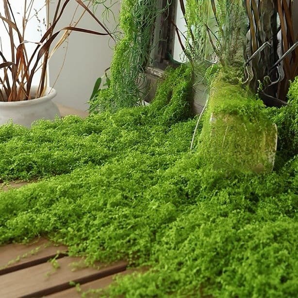Simulated jungle moss, fake lichen, biomimetic turf for landscape thread simulation, fake grass for pot surfacing