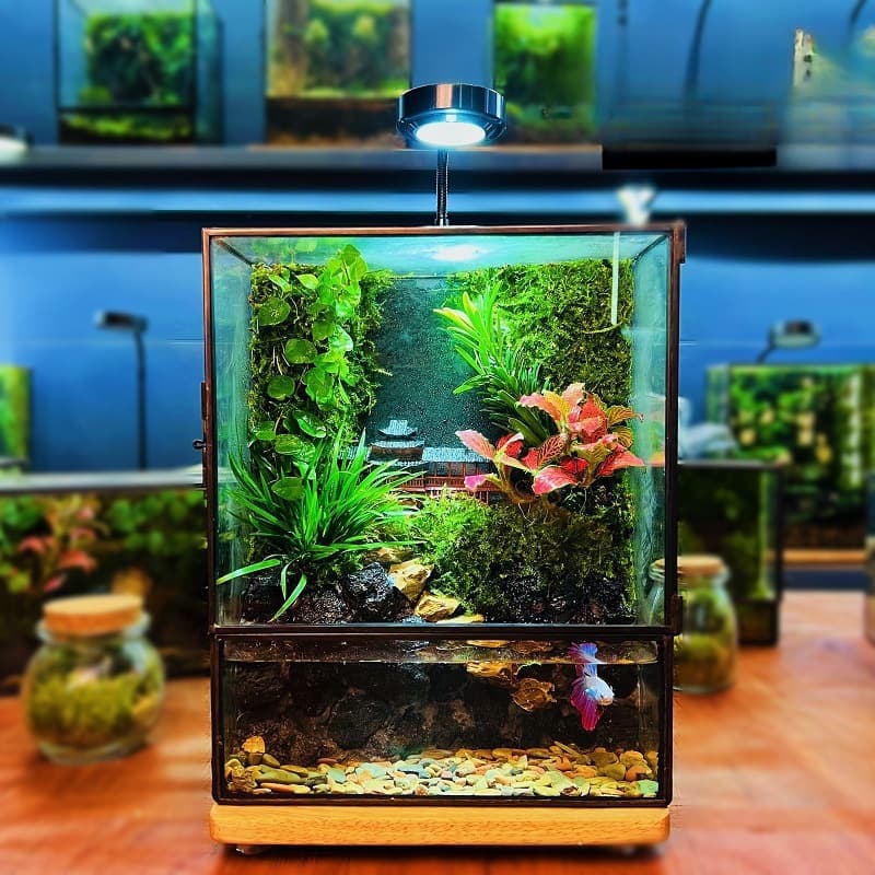 2025 New Creative Landscape Rainforest Tank Eco Flowing Water Fish Keeping Micro Landscape Desktop Ornament Small Aquarium