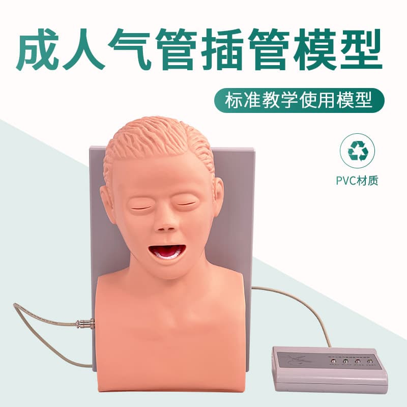 Adult Endotracheal Intubation Training Model with Teeth Alarm, Human Electronic Endotracheal Intubation Training Model J5s