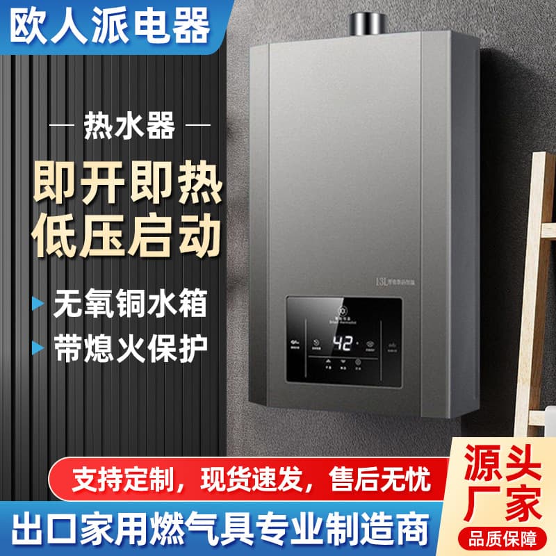 Export Gas Water Heater, Household Instant Heating for Natural Gas/LPG, Thermostatic Anti-Freeze Forced Exhaust Inverter