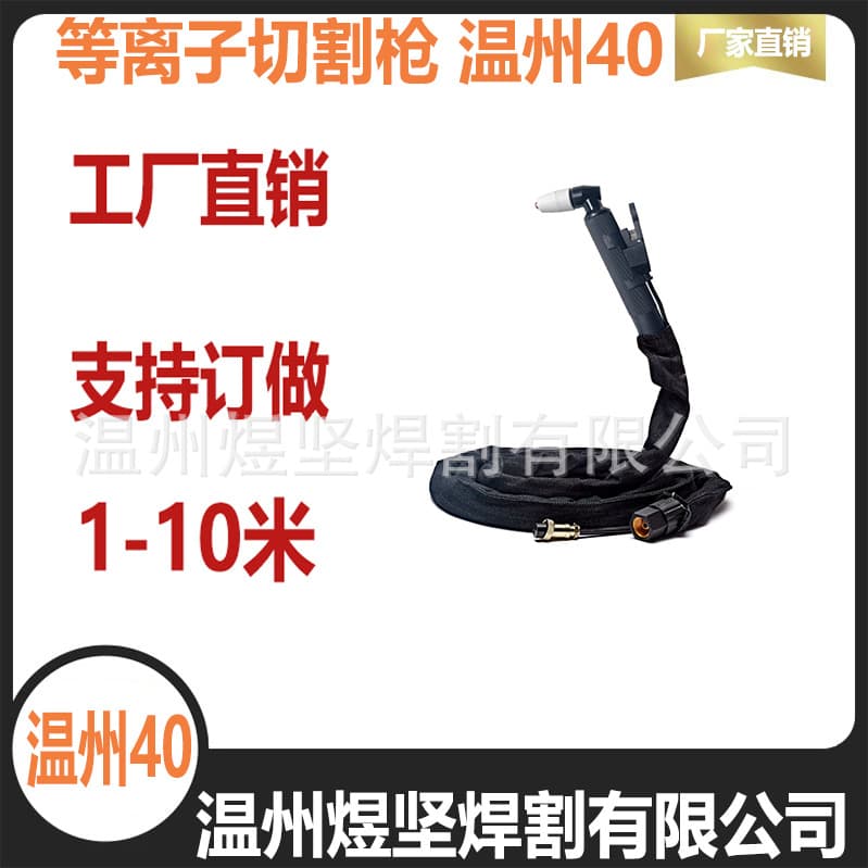 Factory Direct Plasma Cutter PT-31 40A Torch Cutting Machine Accessories Customizable Length